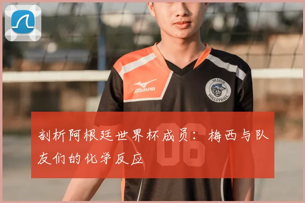 剖析阿根廷世界杯成员:梅西与队友们的化学反应