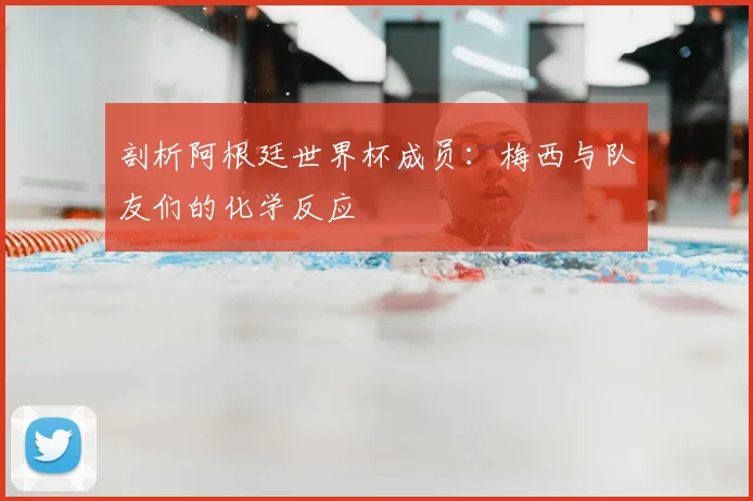 剖析阿根廷世界杯成员:梅西与队友们的化学反应